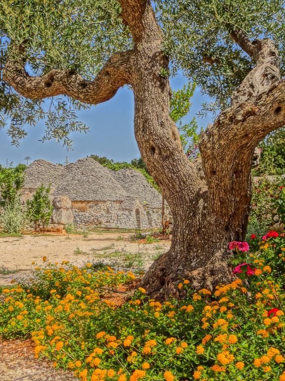 לוקורוטונדו Borgo Sardedda Suites חדר תמונה